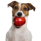 Tippy Taps Manzana Roja Deshidratada