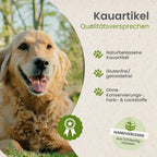 Platija natural sin conservantes para perros